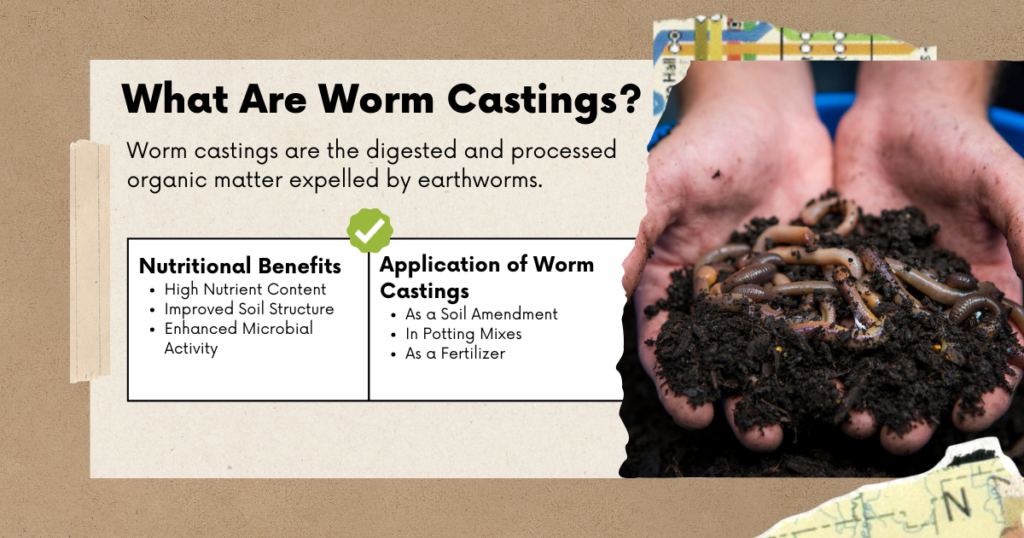 What are Worm casting?