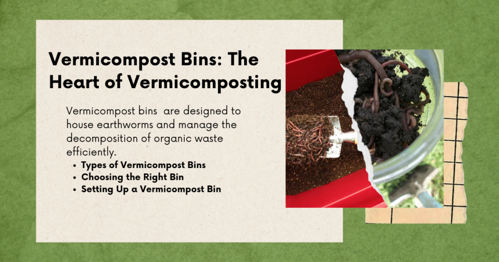 Vermicompost bins 