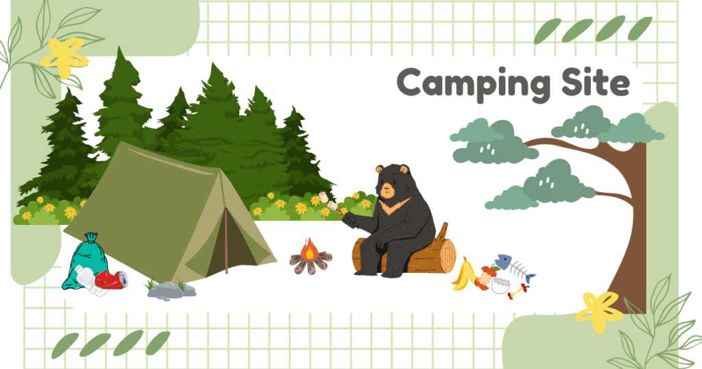 Camping Site