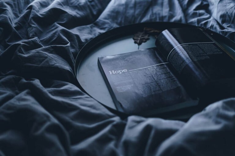 toa heftiba 449984 unsplash