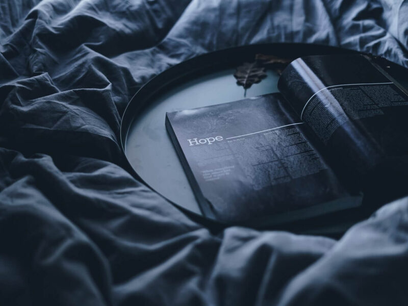 toa heftiba 449984 unsplash