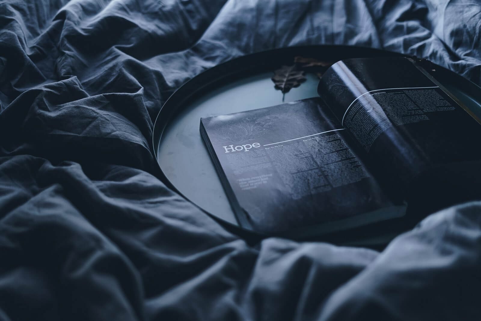 toa heftiba 449984 unsplash