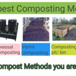 top 5 best Composting methods