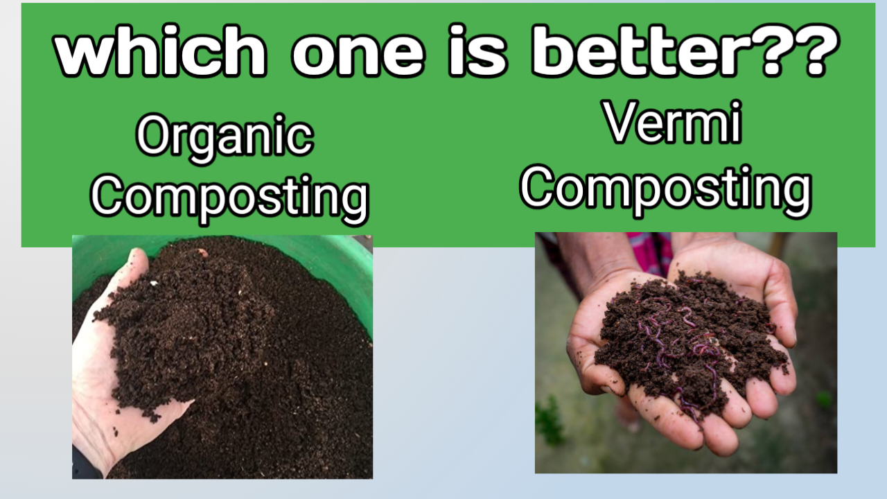 composting and vermicomposting