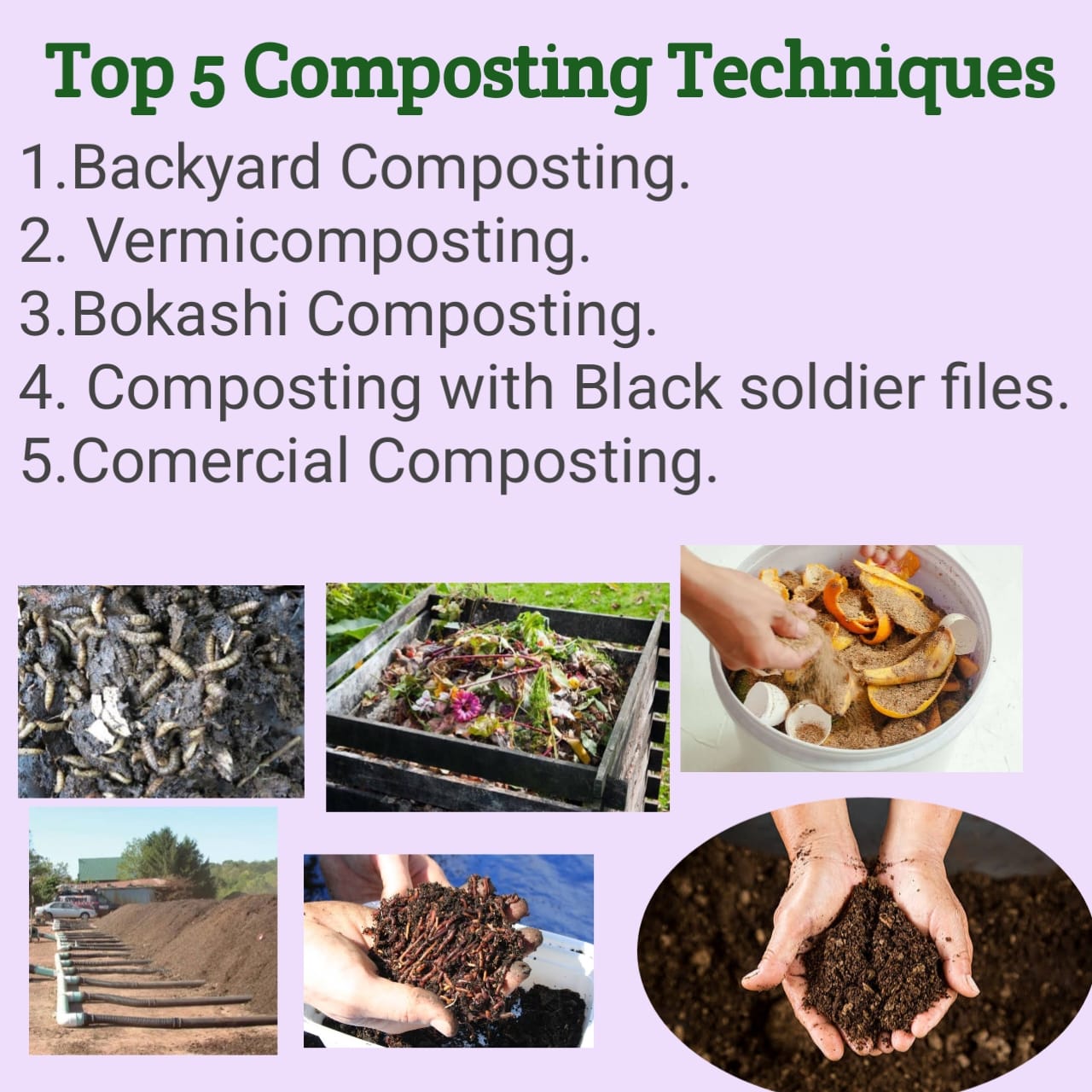 Top 5 Composting techniques