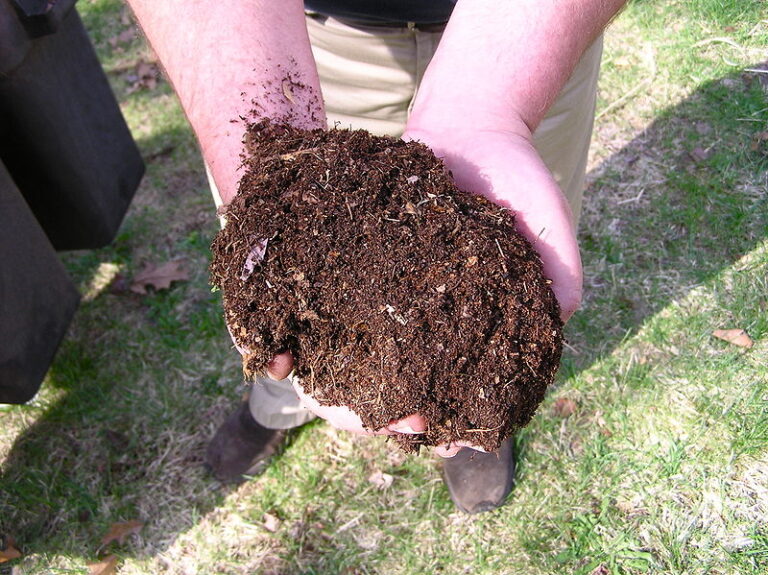 composting in hand Guidebest Solar Compost Techniques.