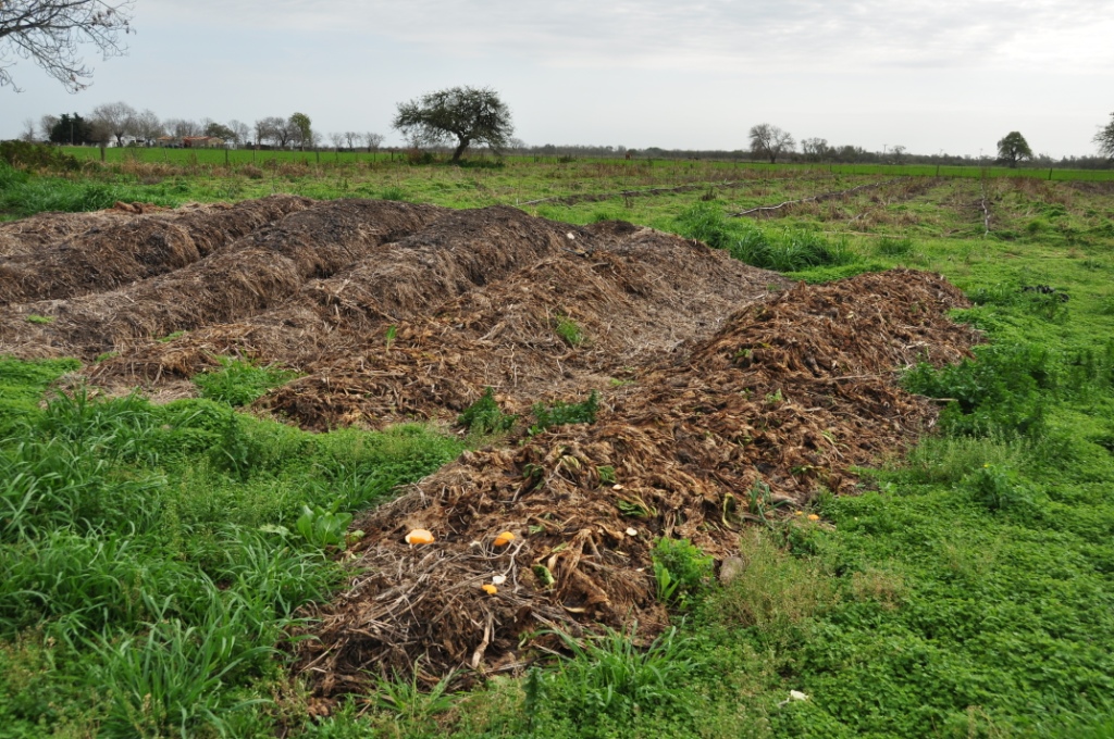 trench Guidebest Compost Techniques.